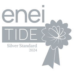 Silver TIDE Logo