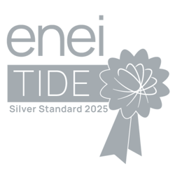 Silver TIDE Logo 2025
